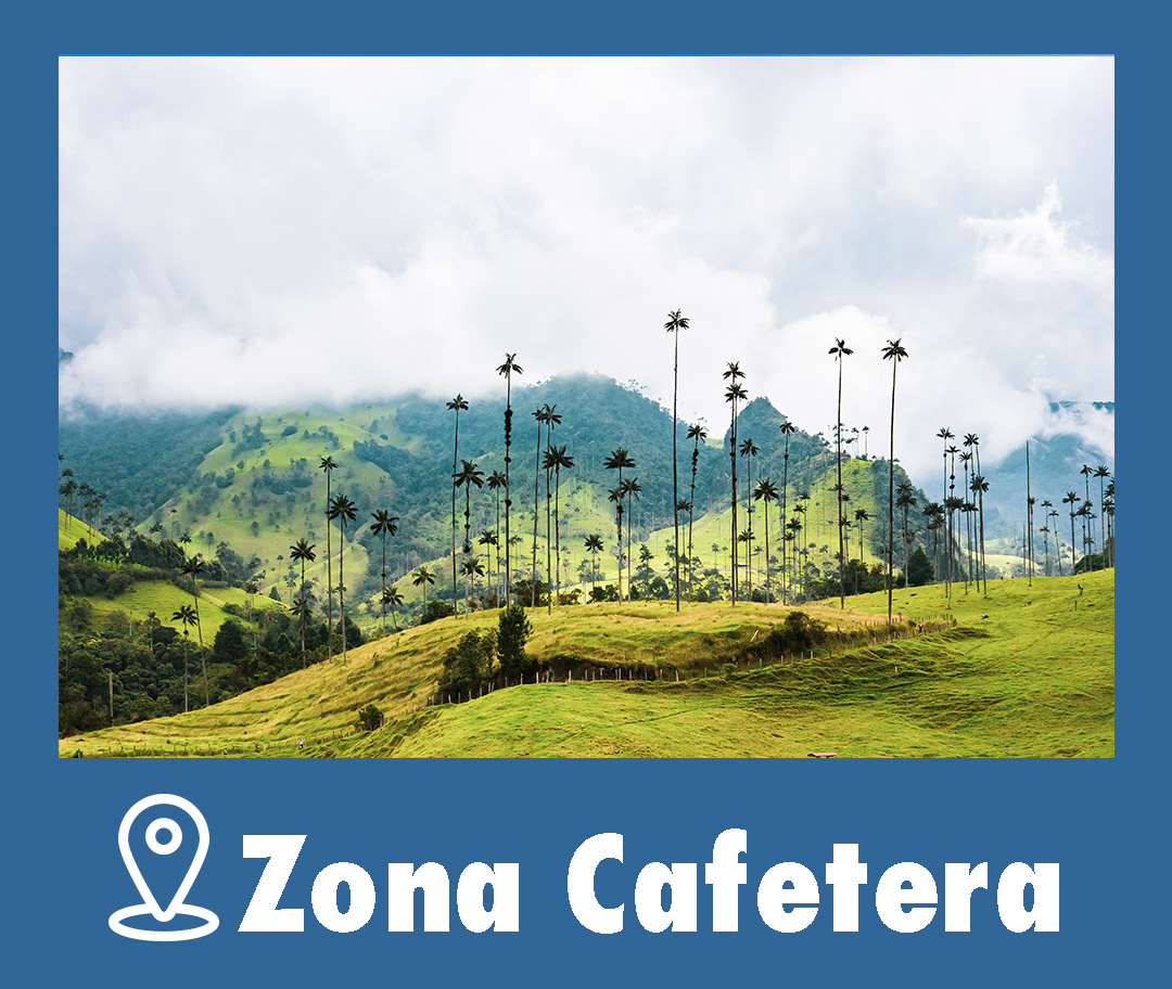 Zona Cafetera El Poblado