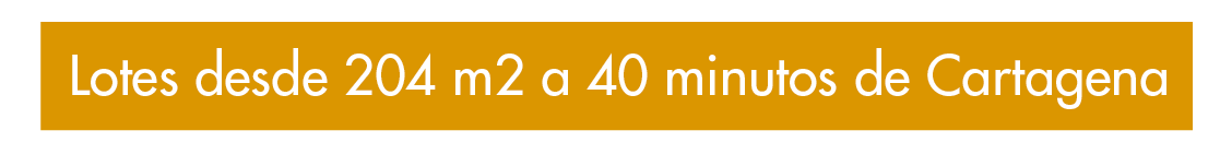 El Poblado - Venta de lotes en Colombia - Piscina