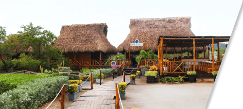 El Poblado - Venta de lotes en Colombia - Puerto Velero