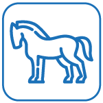 El Poblado - Lotes campestres en Manizales.