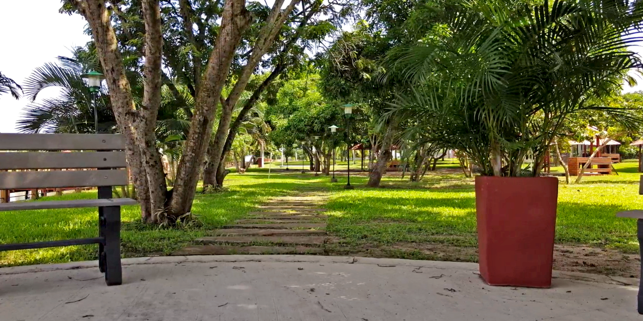 LA NATURALEZA PRESENTE EN TU NUEVO HOGAR